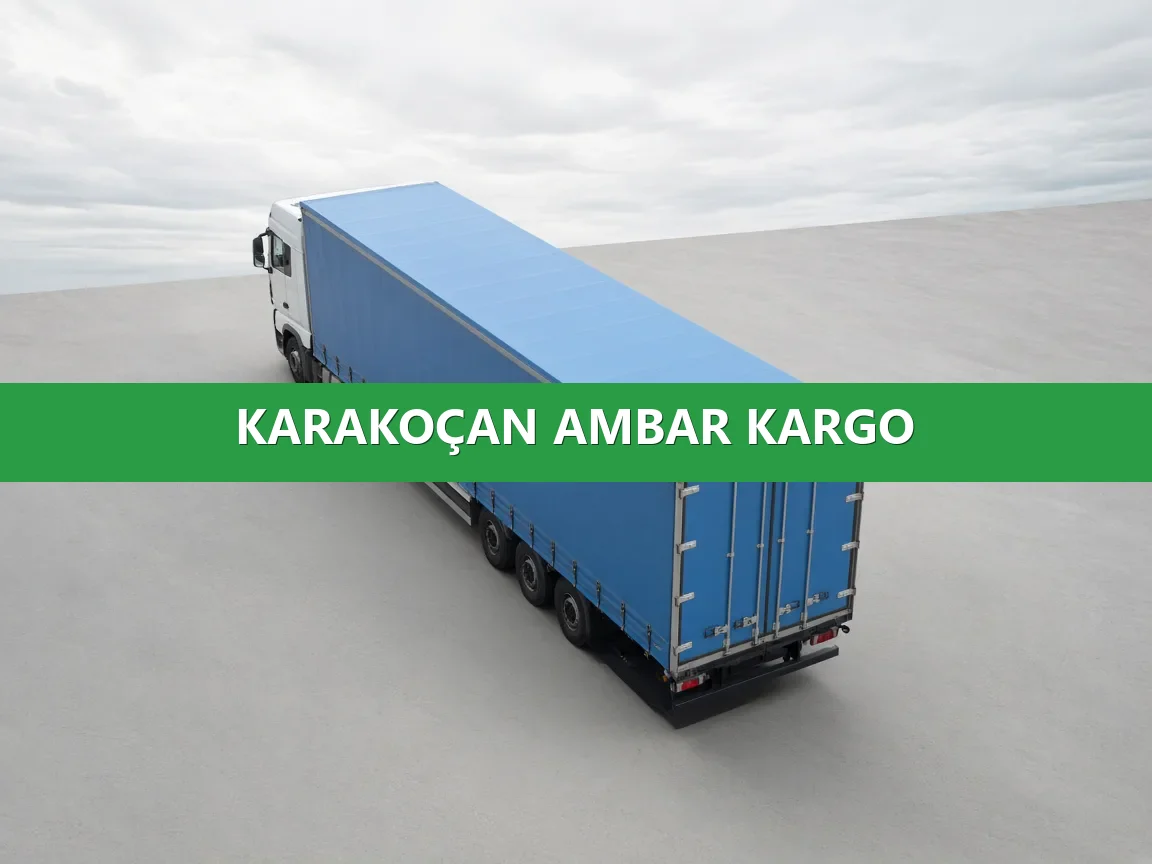 Karakoçan Ambar Kargo